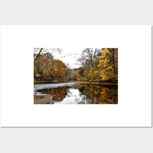 Fall At Tyler State Park Posters and Art